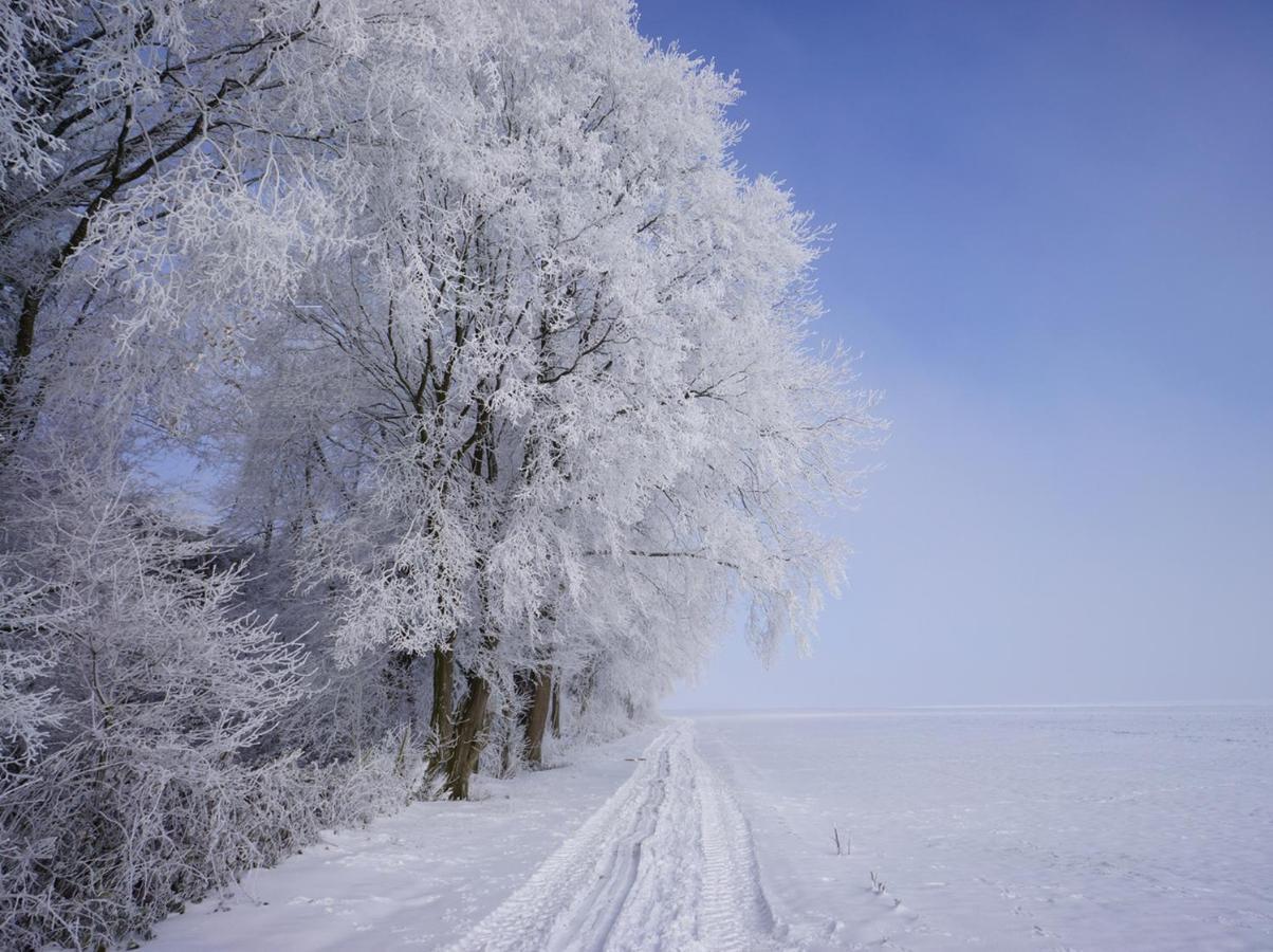 Bed and Breakfast The Silent Picket Martinpuich Экстерьер фото